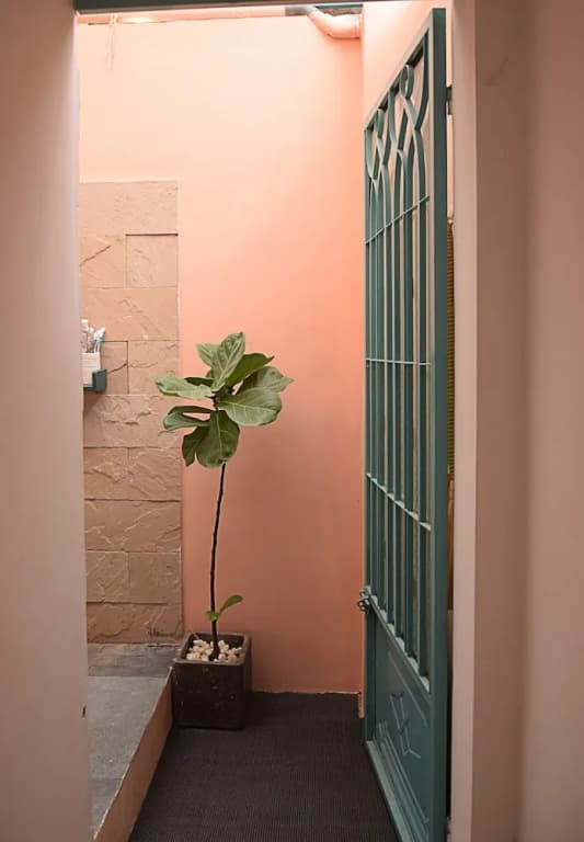 Py's House - photo 14