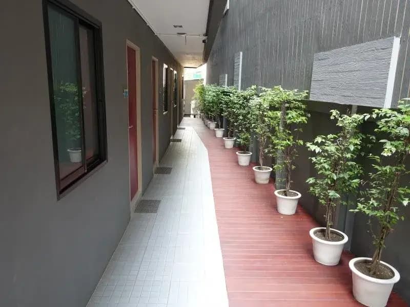 Wh＇Ite Guesthouse Chiang Mai - photo 11