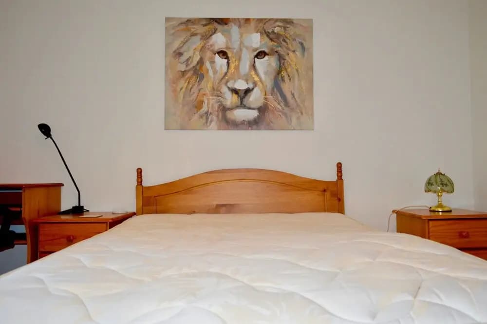 Spacious 2 Bedroom Ground Floor Flat in Leith - photo 17