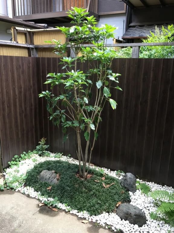 Shiki Homes HARU - photo 15