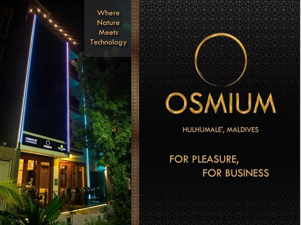 Osmium - photo 1