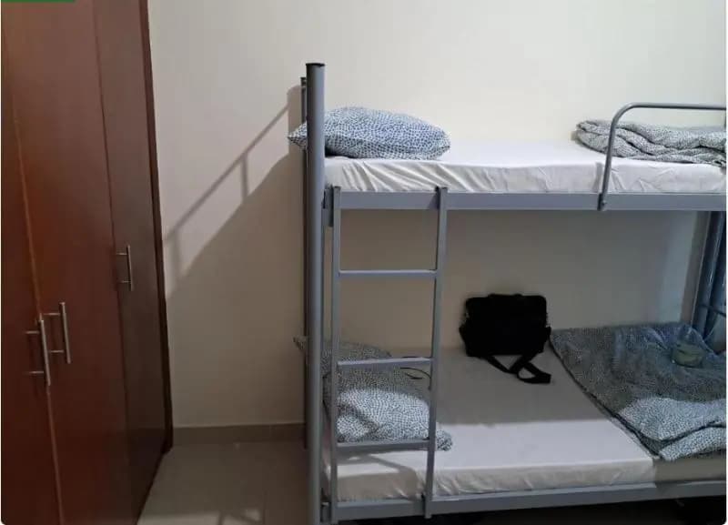 Top House Hostel - photo 2