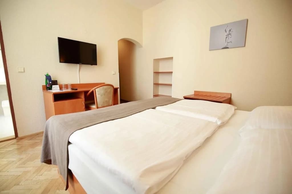 Hotel Merkur - Czech Leading Hotels - photo 10