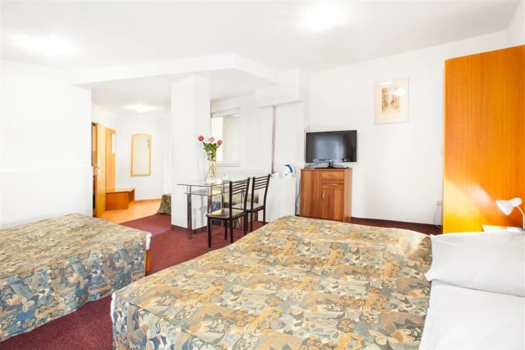 Apartment House Zizkov - photo 4