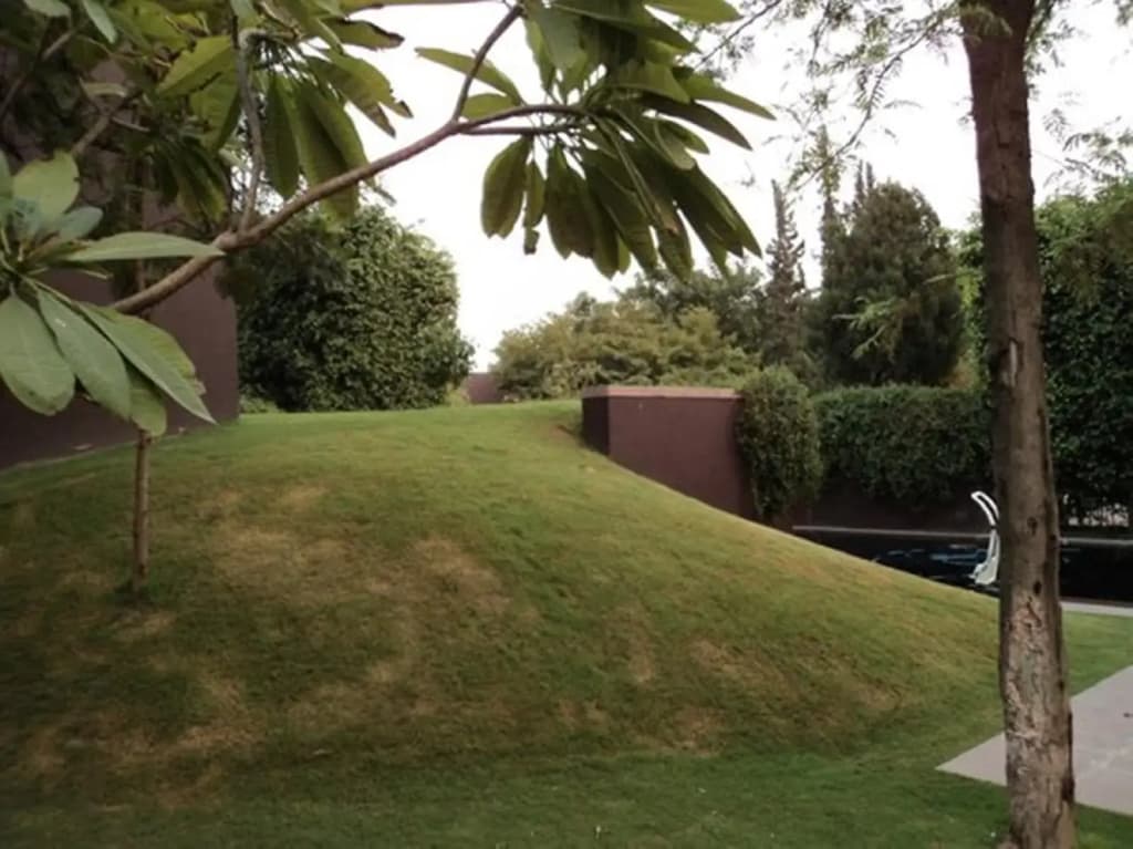 The Roseate New Delhi - photo 11