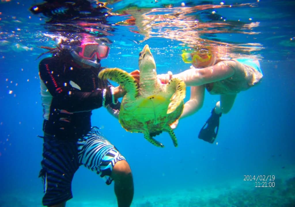 Rasreef Rasdhoo Maldives - photo 25