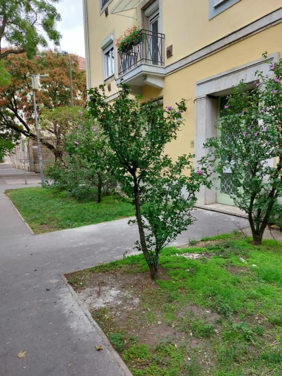 Family Friendly Apartman - photo 1