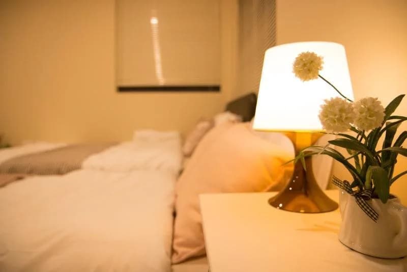 T&M House - photo 17