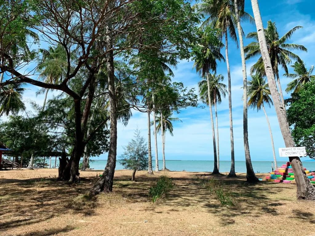 Coconut Beach Villa Langkawi - photo 4