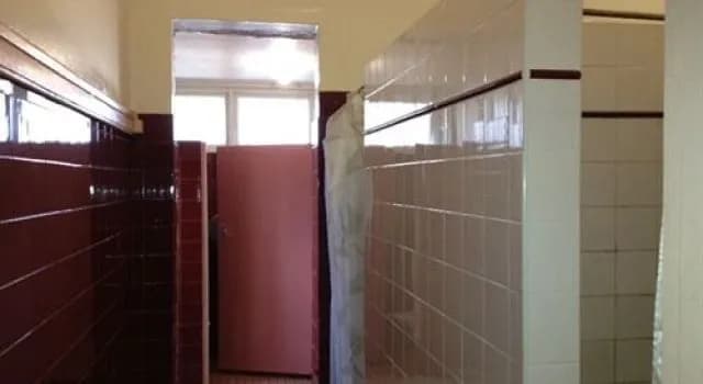 Burwood Lodge - photo 10