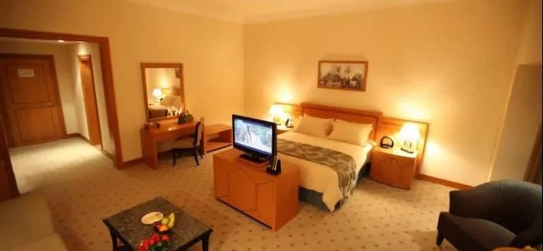 Wiseman Grand Hotel - photo 2
