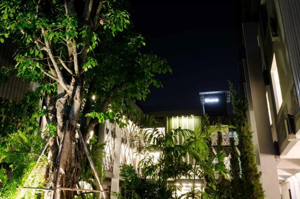 Shane Hotel Chiangmai - photo 21