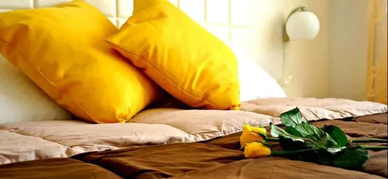 Your Rhome B&B - photo 18