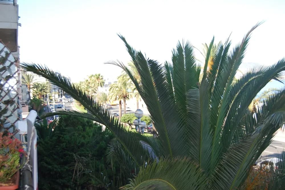 Appart Nice promenade - photo 12