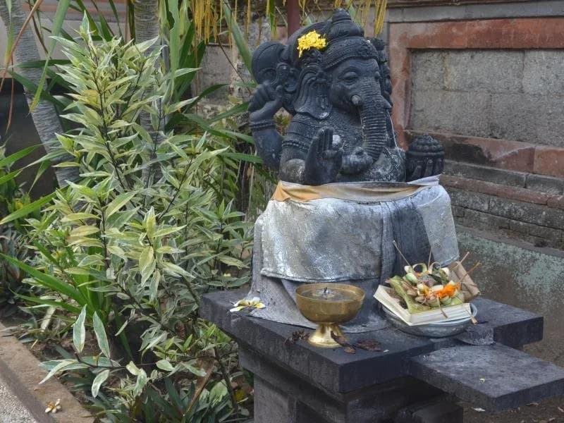 Guesthouse Gusti Putu Oka - photo 4