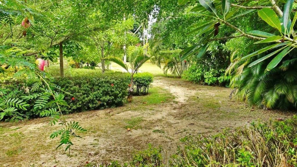 Aliyah Garden House - photo 11