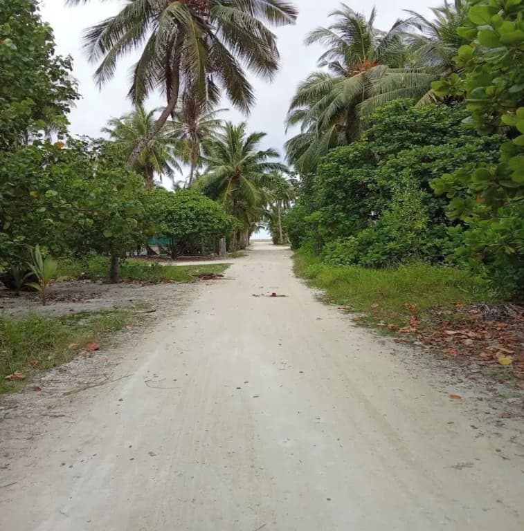 Sea Breeze View - photo 34