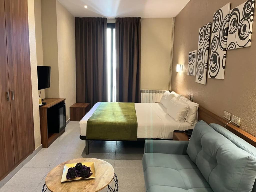 Aneto Hotel - photo 4
