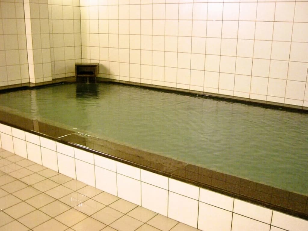 Gion Ryokan Karaku - photo 18