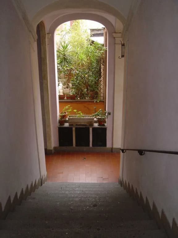 Amorhome - photo 8