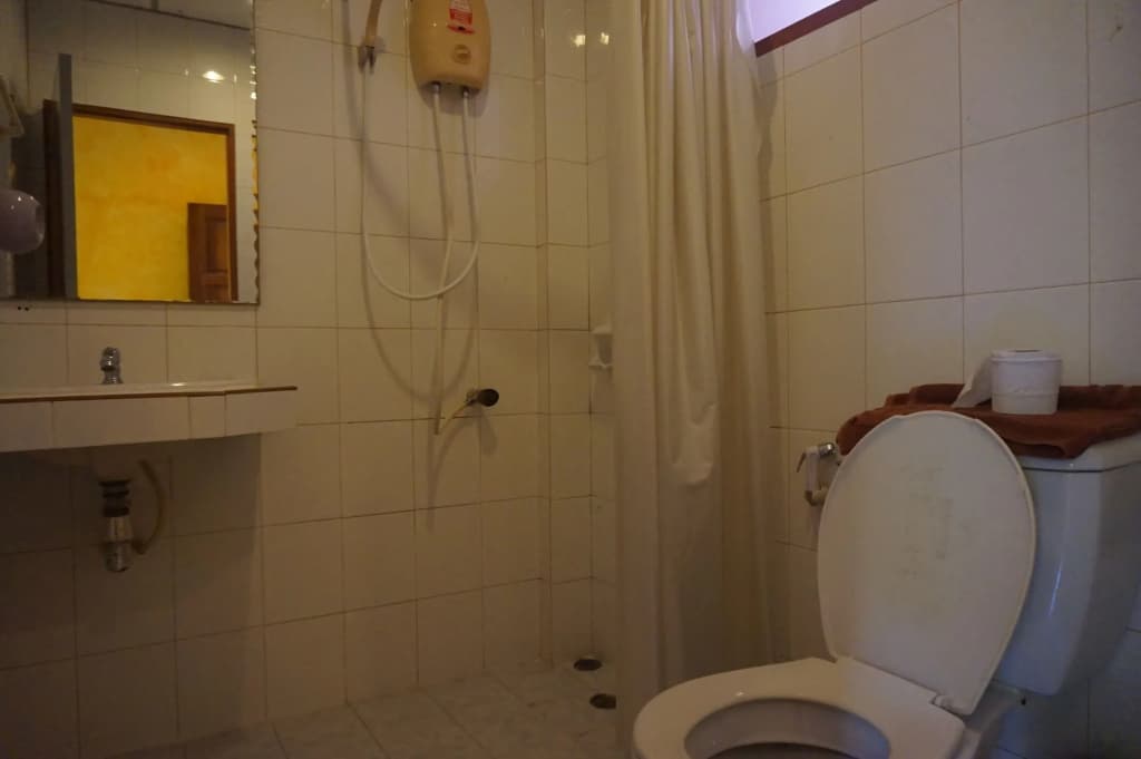 Ban Elephant Blanc Apartment - photo 10