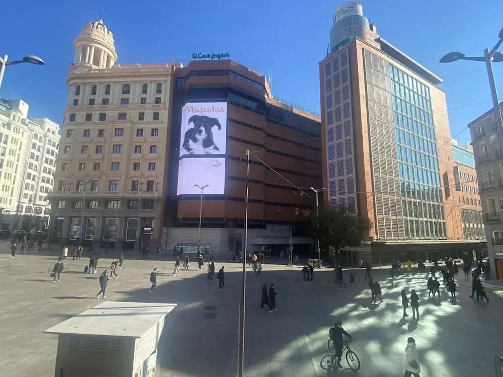 HC Hostel Madrid - photo 1