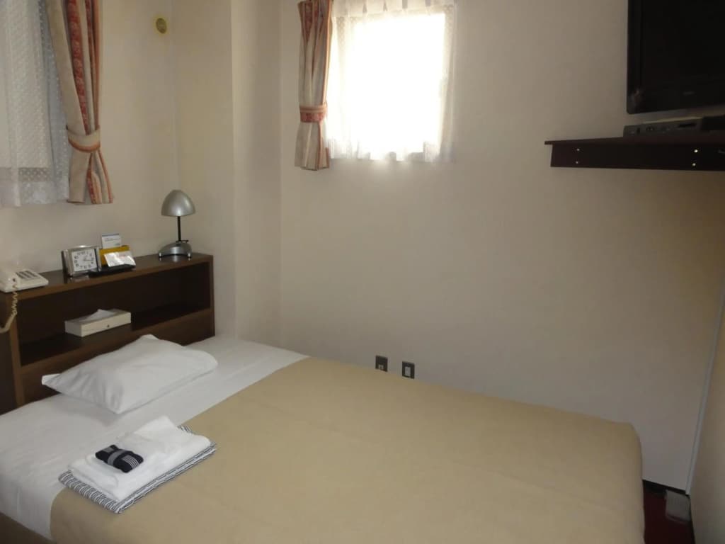 Hotel Yanagibasi - photo 2