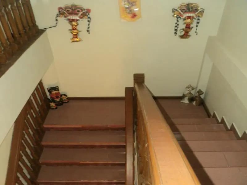 Diva House - photo 10
