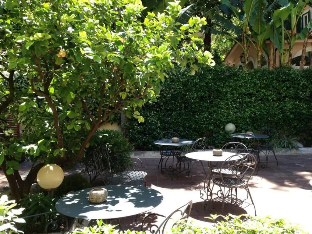 Hotel Astoria Garden - photo 8