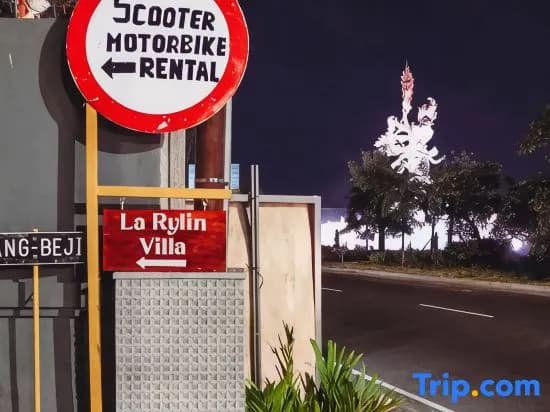 La Rylin Villa - photo 4