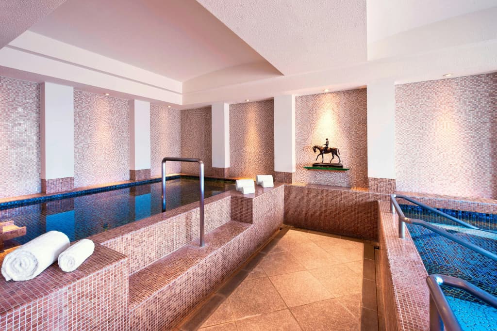 The Westin Tokyo - photo 32