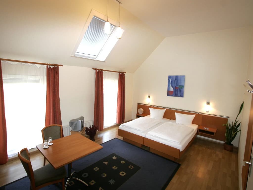 Hotel Pension Arta - photo 5