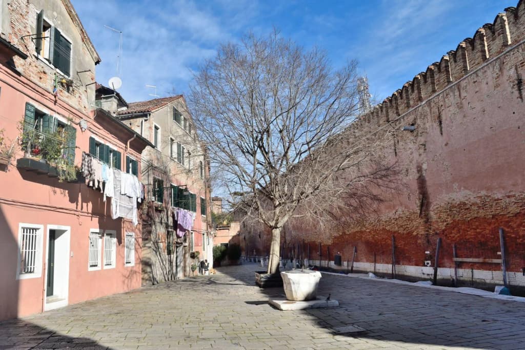Venice Life - main photo