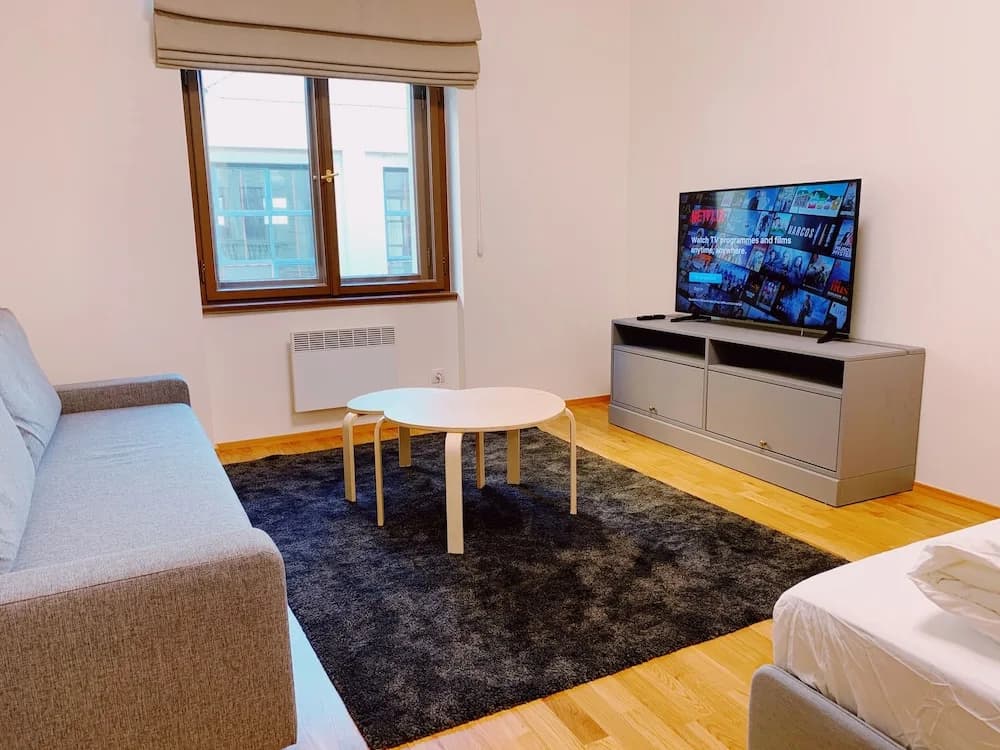 Residence u Naplavky - photo 3