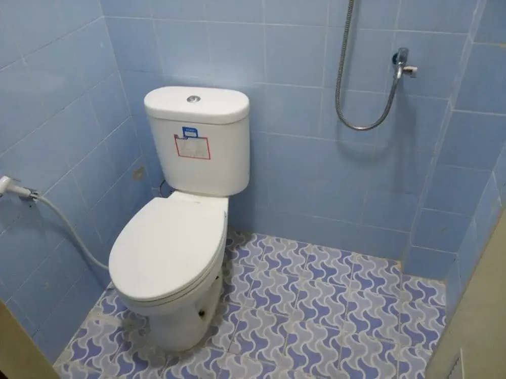 Guest House 647 - photo 7