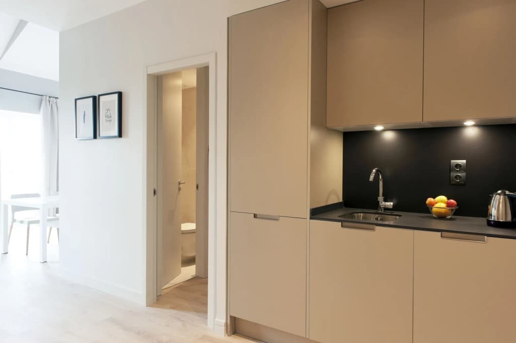 MH Apartments Central Madrid - photo 15
