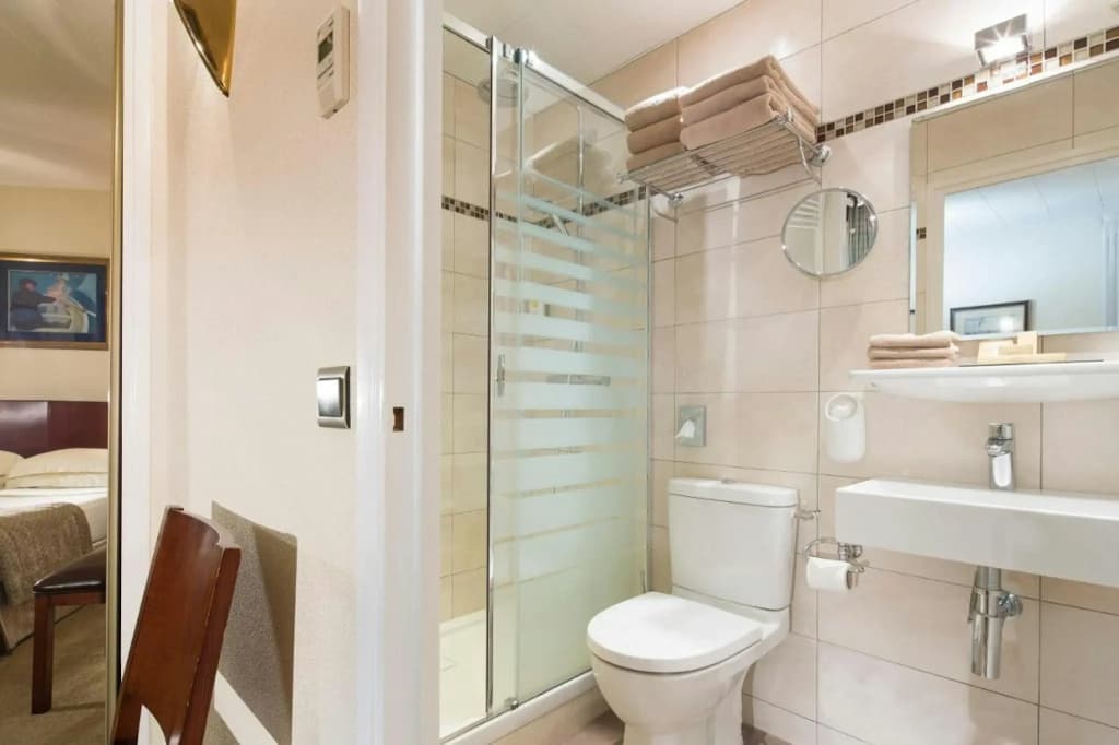 Hotel Delavigne - photo 9