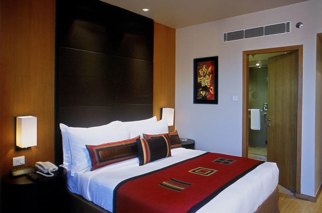 Svelte Delhi, a member of Radisson Individuals - photo 4