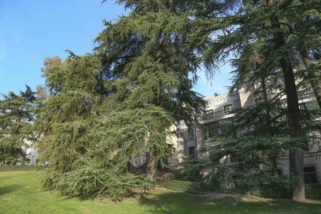 Hostels Meetingpoint - photo 17