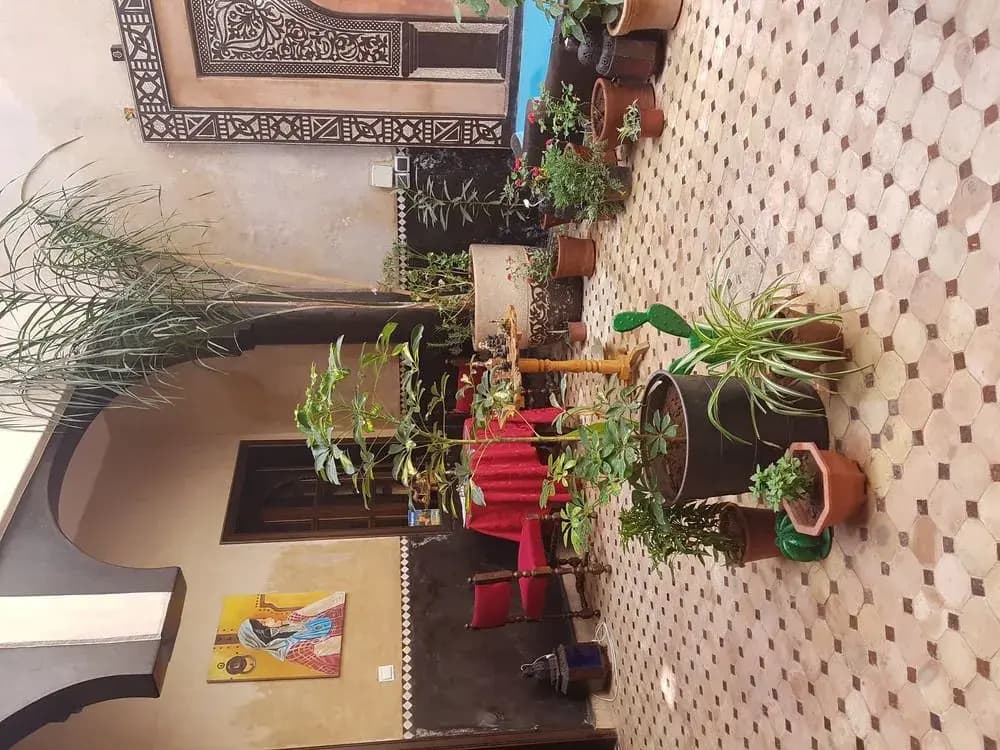 Riad Samara - photo 8