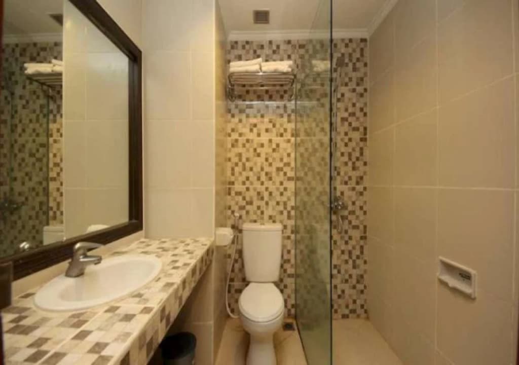 Hotel Maharani - photo 10