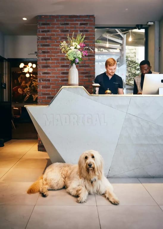 Madrigal hotel - photo 37