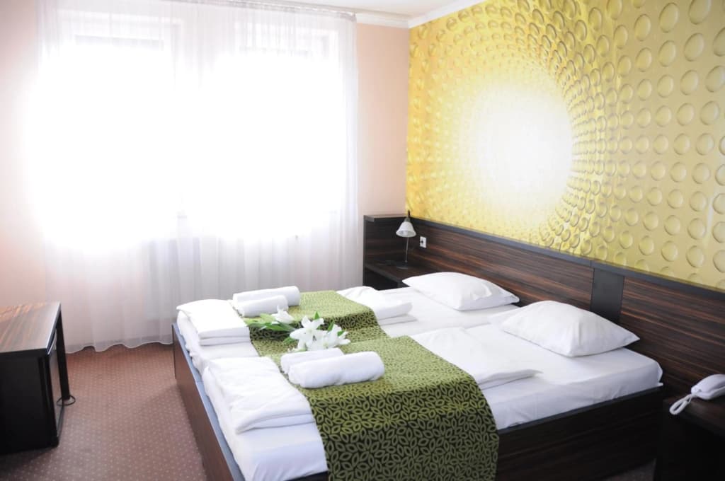 Green Hotel Budapest - photo 4