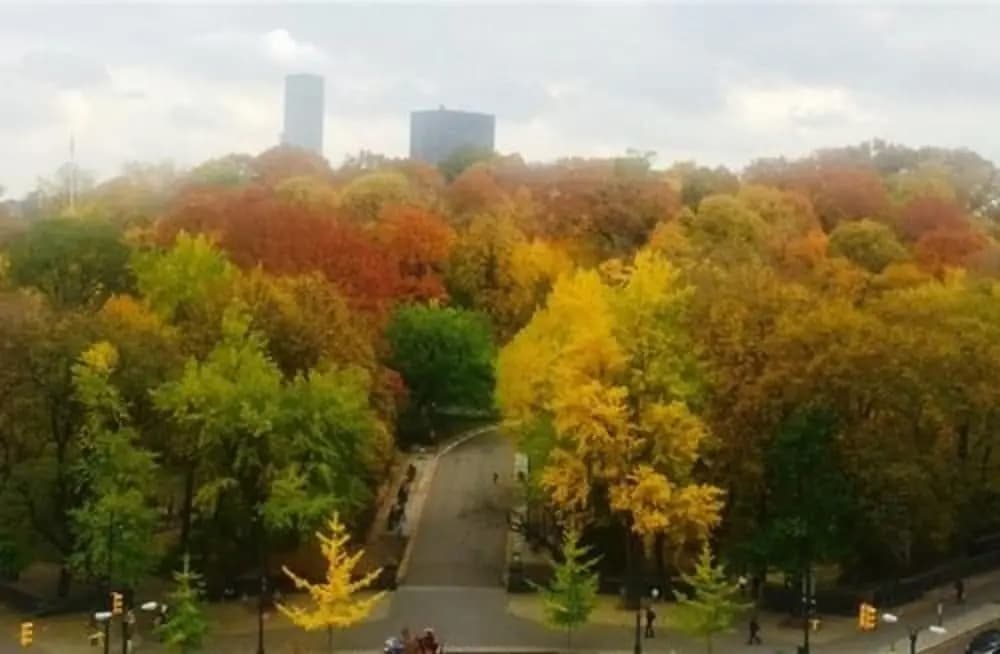 Central Park View Apartment - photo 11