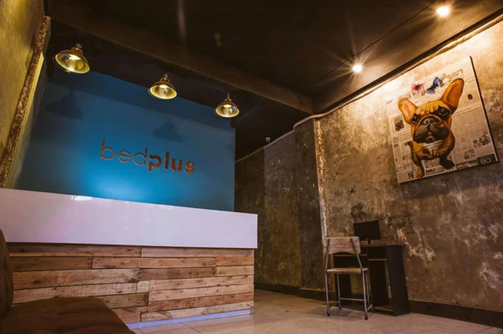 Bedplus Backpacker - photo 16