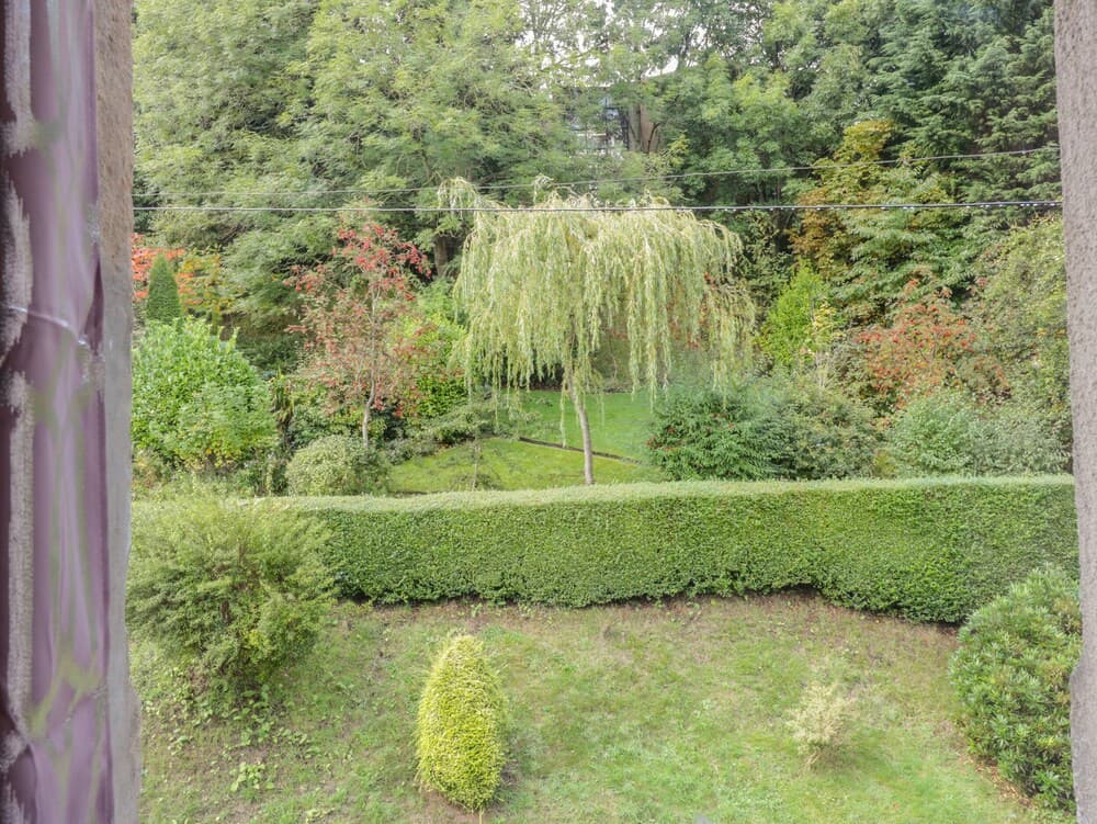 6 Coltbridge Gardens - photo 14
