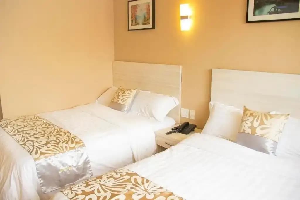 Phoenix Hotel - photo 17