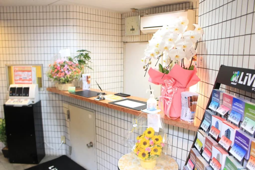 Hotel Livemax BUDGET Omori Ekimae - photo 2