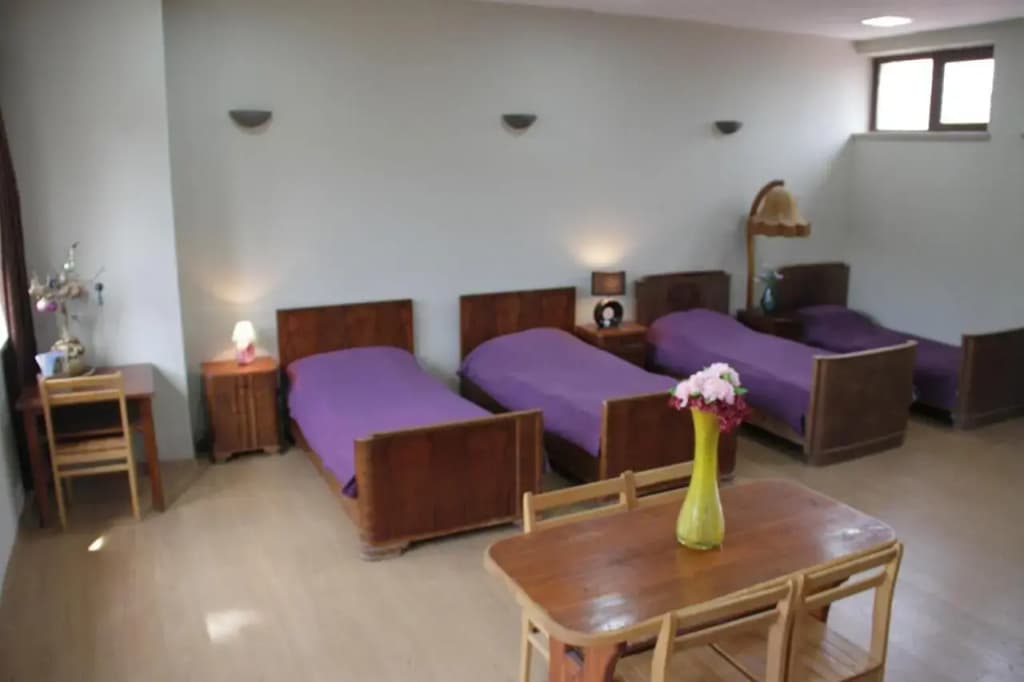 Sololaki 7 Guest House - photo 19