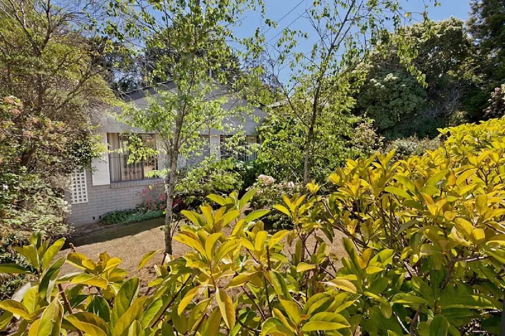 Leura Bungalow - photo 8